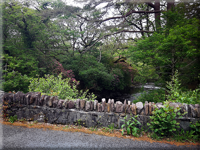 foto Parco di Killarney